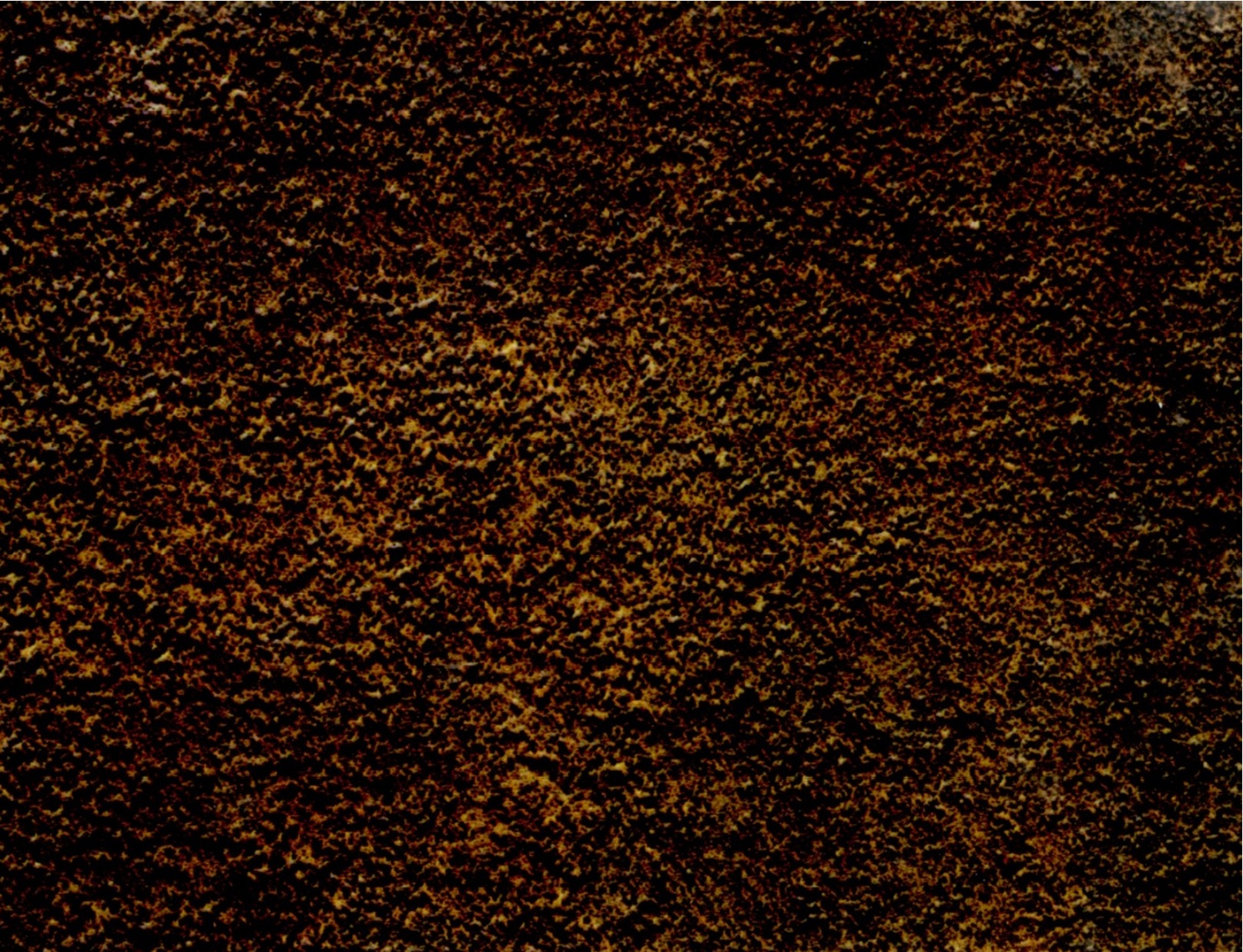 Steelenproduce_ISO8501_C0